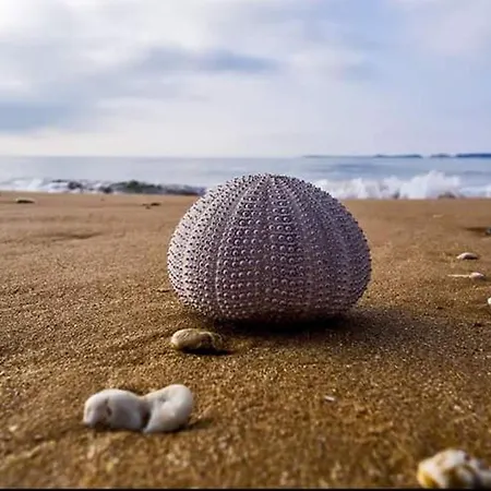 Apartament Alekos Houses-sundance